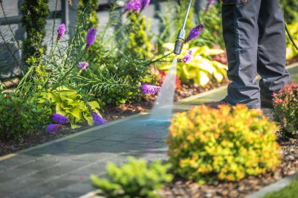 Best Sidewalk and Walkway Cleaning  in Ben Avon, SC